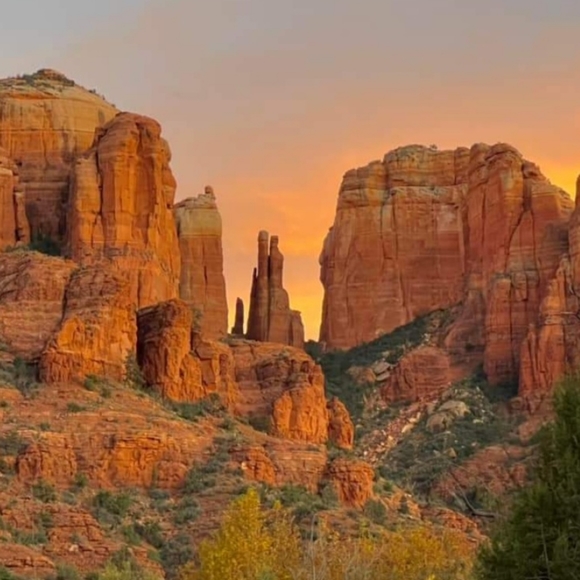 Meet your Posher, Lynnette - Picture 2 of 16